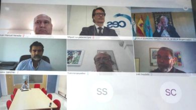 Photo of La Diputación de Sevilla explica a los agentes sociales y económicos de la provincia las iniciativas para reactivar la economía
