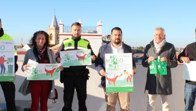 Photo of El Ayuntamiento de Gines pone en marcha la campaña ‘Dice mucho de ti’ para la sensibilización sobre la limpieza de excrementos y orines de mascota