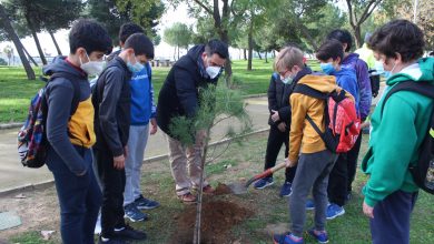 Photo of Los escolares de Gines celebran el día de la Paz plantando árboles
