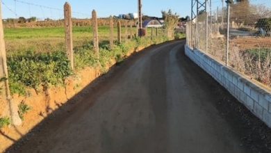 Photo of El Ayuntamiento de Olivares concluye las obras de mejora y acondicionamiento de varios caminos agrícolas