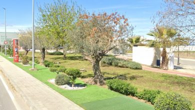 Photo of El parque Guadalquivir y la zona verde junto al polígono industrial «El caño» será objeto de mejoras en las próximas semanas