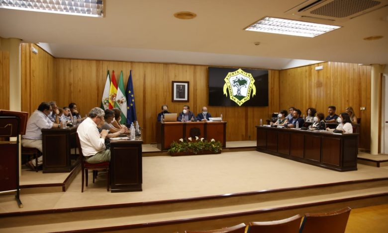 Photo of El pleno municipal de Mairena exige a la Junta medios para los alumnos con necesidades especiales