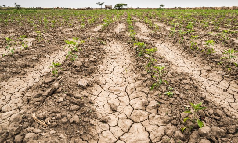 Photo of Municipios del Aljarafe sufrirán restricciones de agua por la sequía