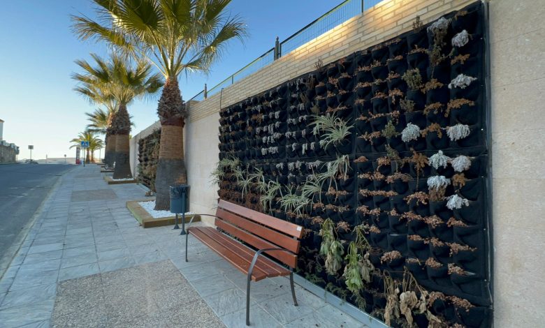 Photo of El PP denuncia que el Ayuntamiento de Albaida instala un jardín vertical y se seca por no tener conectado el riego