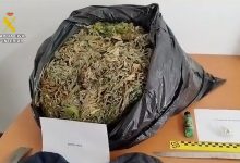 Photo of La Audiencia de Sevilla pide los análisis de la sustancia sustraída a clientes de una asociación de cannabis de Tomares